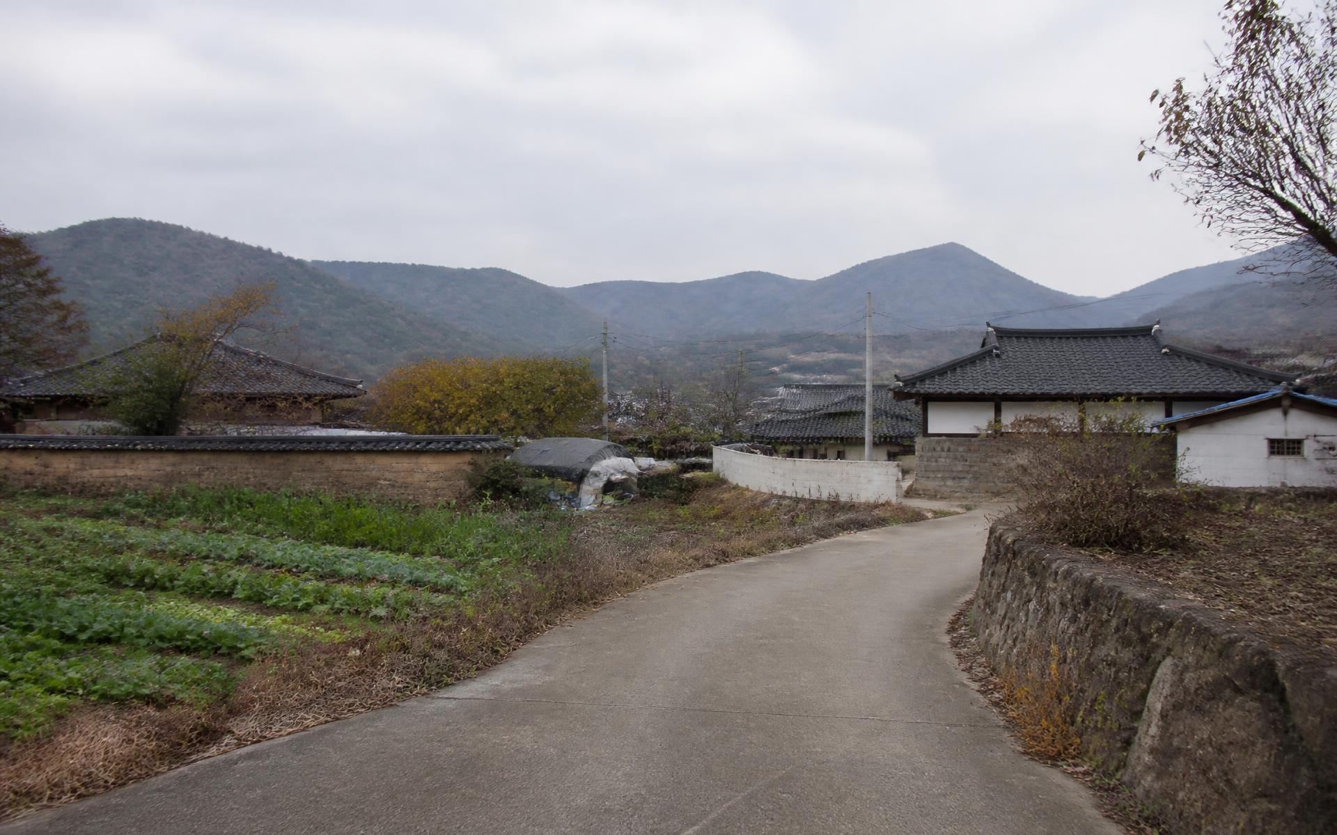 A quiet road running through Gwanjeong 3-ri, a small rural village in Jeonui-myeon, Sejong City